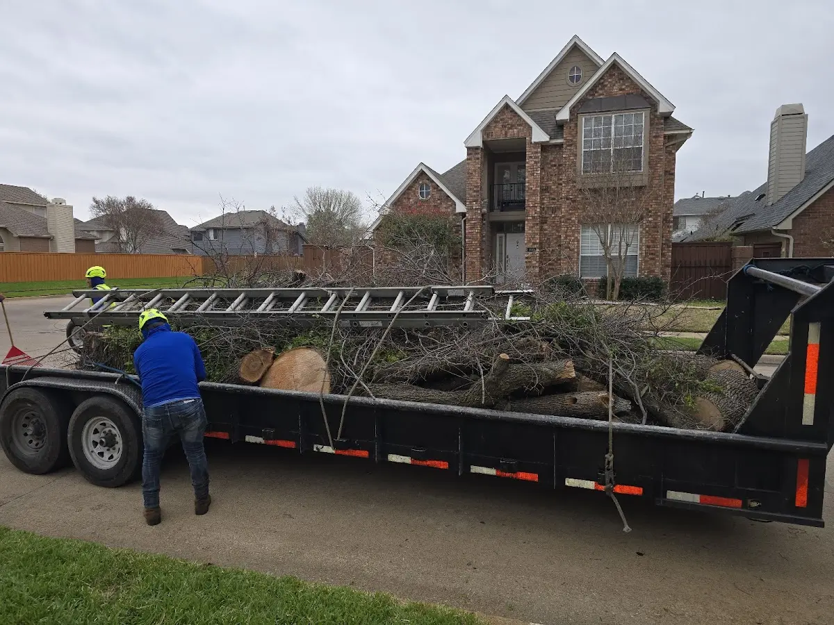 Expert Lot Clearing with proper safety equipment in Gray